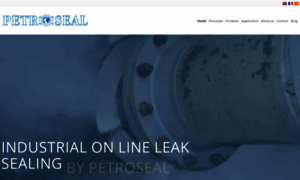 Leaksealing.com thumbnail