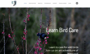 Learnbirdcare.org thumbnail