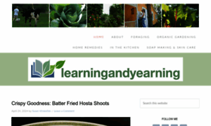 Learningandyearning.com thumbnail