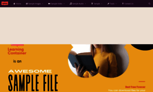 Learningcontainer.com thumbnail