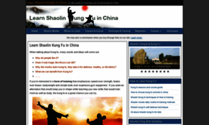 Learnshaolinkungfuinchina.com thumbnail