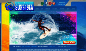 Learntosurfkona.com thumbnail