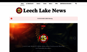 Leechlakenews.com thumbnail