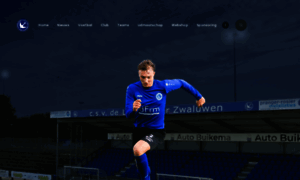 Leeuwarderzwaluwen.nl thumbnail