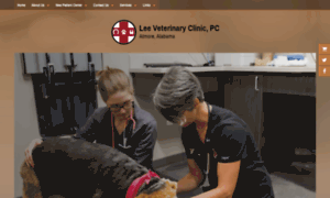 Leevetclinic.com thumbnail