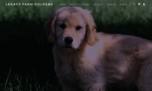 Legacyfarmgoldens.com thumbnail