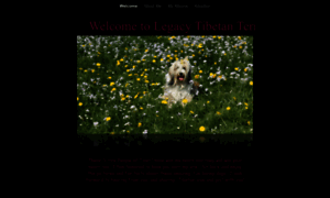 Legacytibetanterriers.com thumbnail