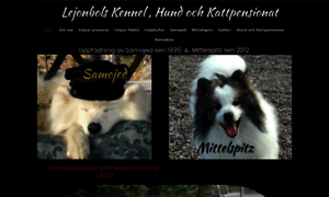 Lejonbols.info thumbnail
