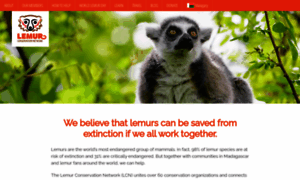 Lemurconservationnetwork.org thumbnail