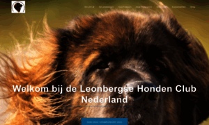 Leonberger.nl thumbnail