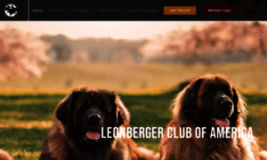 Leonbergerclubofamerica.com thumbnail