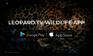 Leopard.tv thumbnail