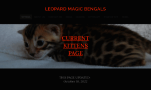 Leopardmagicbengals.com thumbnail