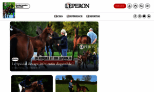 Leperon.fr thumbnail