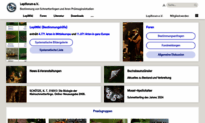 Lepiforum.de thumbnail