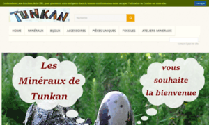 Les-mineraux-de-tunkan.com thumbnail