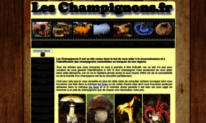 Leschampignons.fr thumbnail