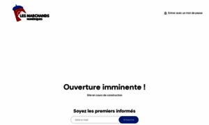 Lesmarchandsnumeriques.fr thumbnail