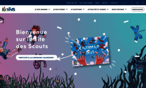 Lesscouts.be thumbnail