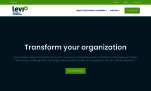Levioconsulting.com thumbnail