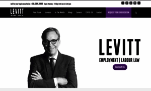 Levittllp.com thumbnail