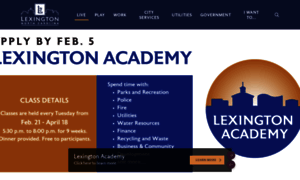 Lexingtonnc.net thumbnail