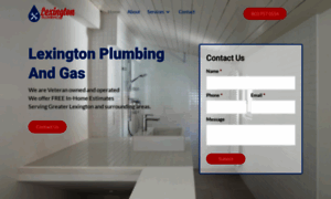 Lexingtonplumbingsc.com thumbnail