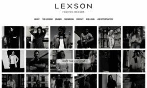 Lexson.info thumbnail