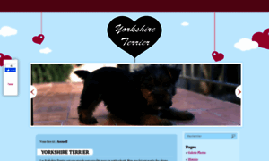 Leyorkshireterrier.com thumbnail