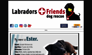 Lf.rescuegroups.org thumbnail