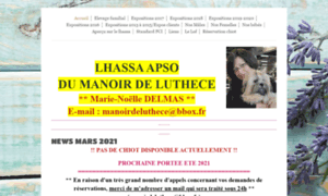 Lhassa-apso-du-manoir-de-luthece.com thumbnail