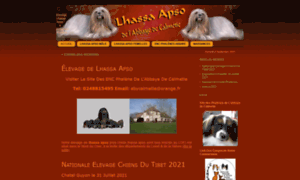 Lhassa-apso-elevagecalmetie.fr thumbnail