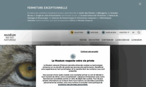 Lhommeenquestions.museedelhomme.fr thumbnail