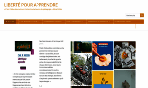 Liberte-pour-apprendre.fr thumbnail