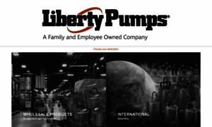 Libertypumps.com thumbnail