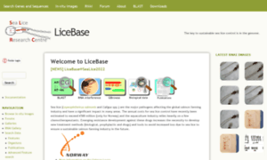 Licebase.org thumbnail