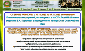 Liceum28.nnov.ru thumbnail