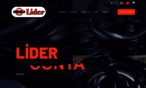 Liderconta.com thumbnail