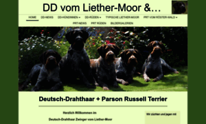 Liether-moor.de thumbnail