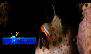 Life-aquatic.com thumbnail