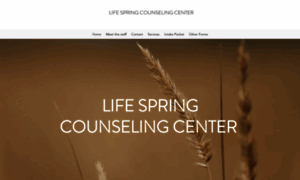 Lifespringcounselingcenter.org thumbnail