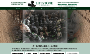Lifestone14.com thumbnail