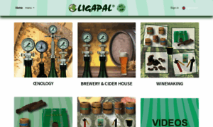 Ligapal.com thumbnail