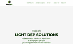 Lightdepsolutions.com thumbnail