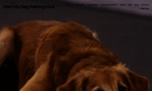 Lilaccitydogtrainingclub.com thumbnail