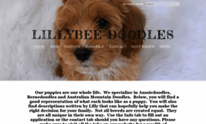 Lillybeepoodlesanddoodles.weebly.com thumbnail