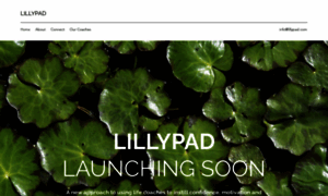 Lillypad.com thumbnail