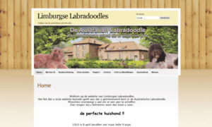 Limburgse-labradoodles.nl thumbnail