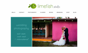 Limefishstudio.com thumbnail