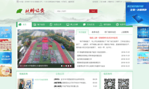Linan.gov.cn thumbnail